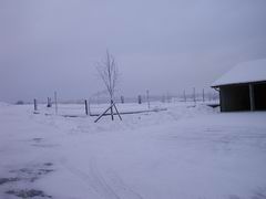 Winter auf dem Loorenhof